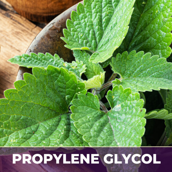 LEMON BALM HERB IN PG