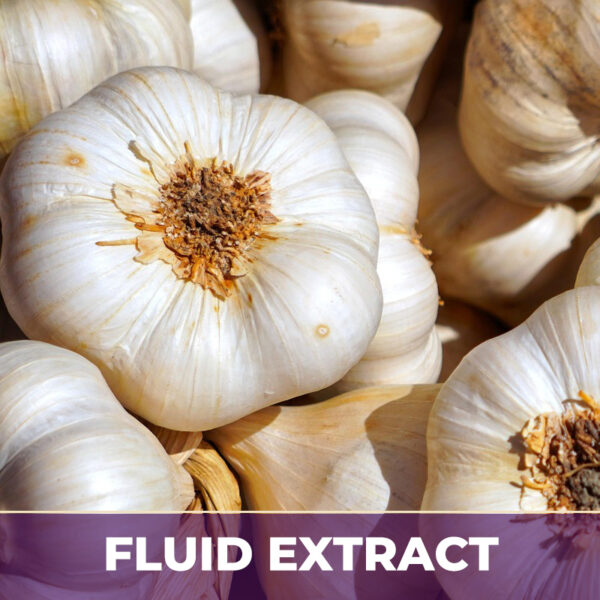 ODORLESS GARLIC EXTRACT 100:1