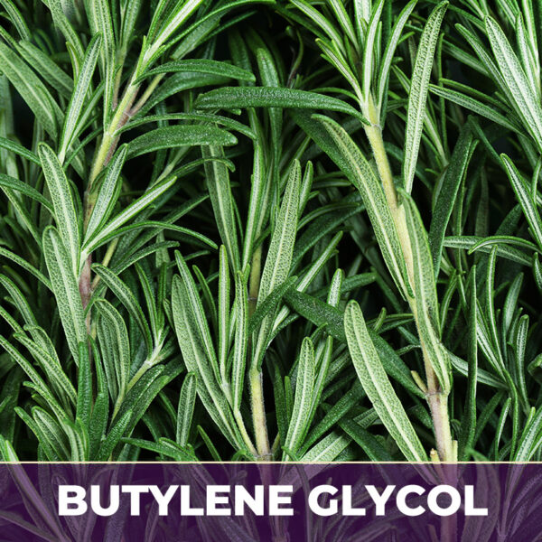 ROSEMARY LEAF IN BG