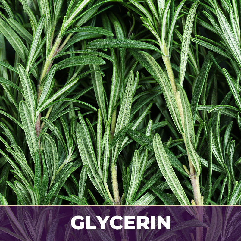 ROSEMARY LEAF IN GLYCERIN