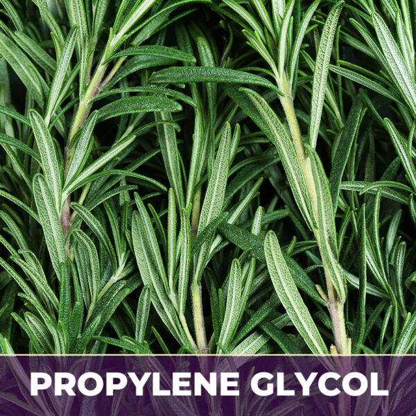ROSEMARY LEAF IN PG