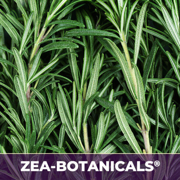 ROSEMARY LEAF ZEA-BOTANICALS®