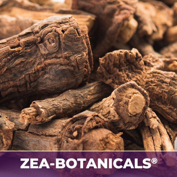 SARSAPARILLA ROOT ZEA-BOTANICALS®