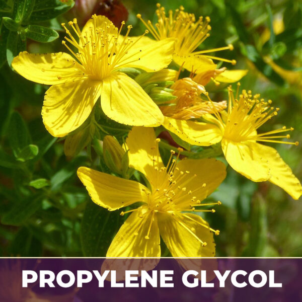 ST. JOHN'S WORT HERB IN PG