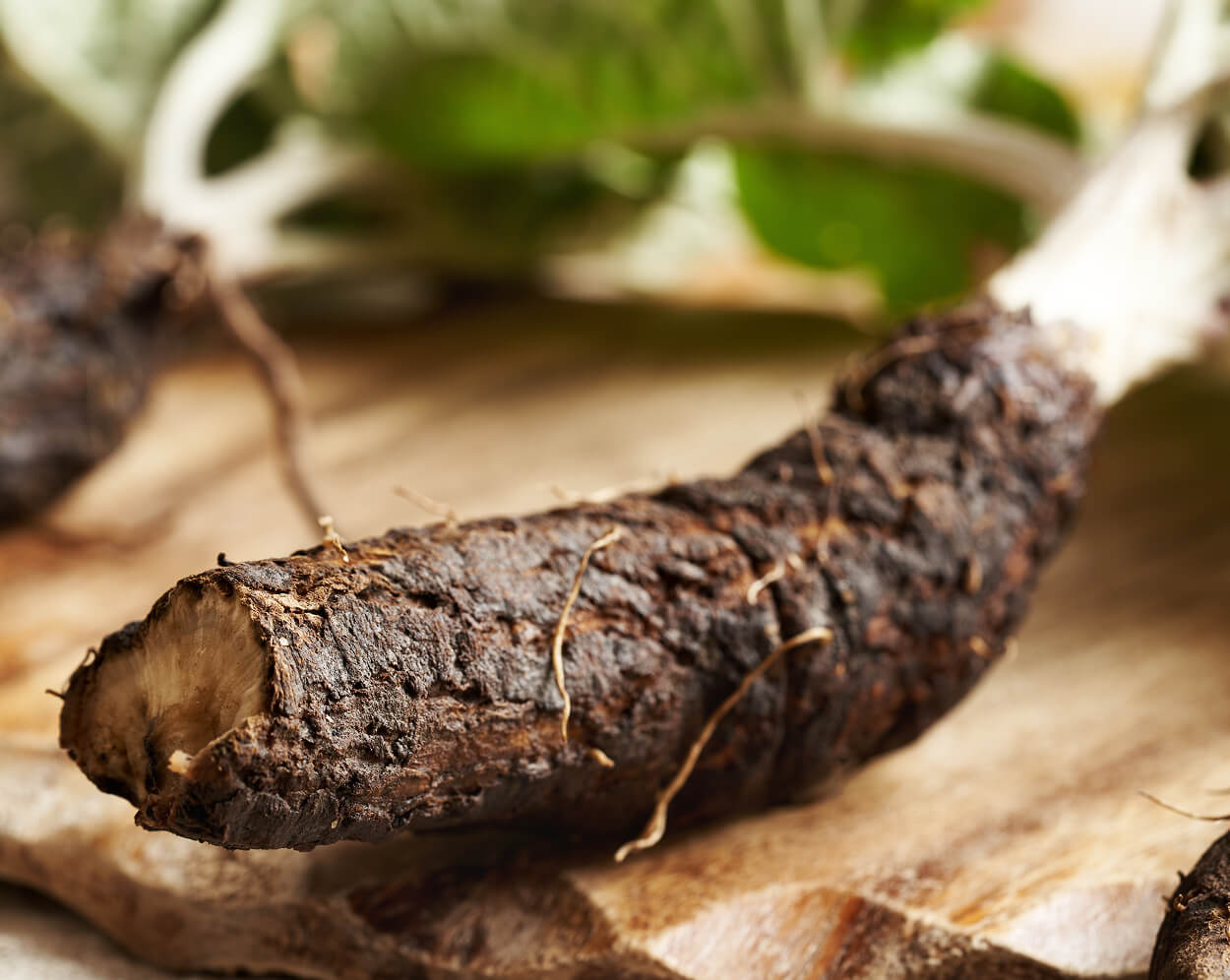 Fresh burdock root on a wooden cutting board.