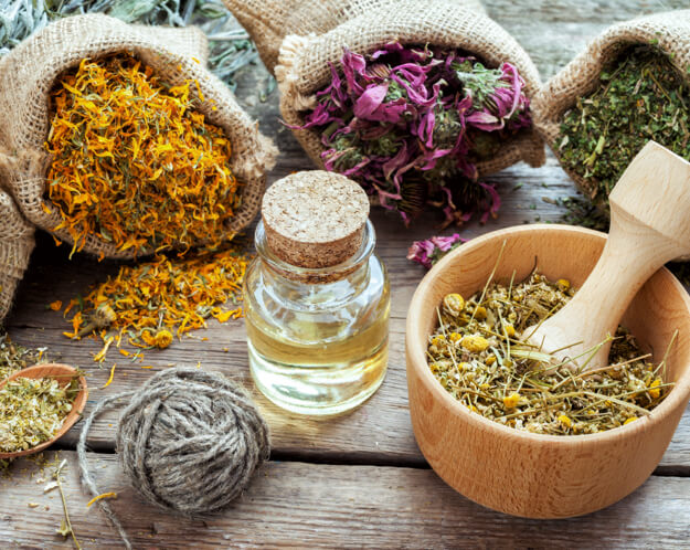 Immune support herbal extracts