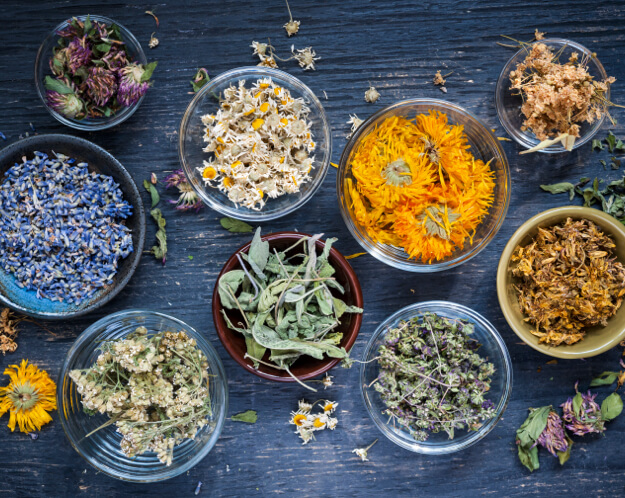 Hair skin and nails support herbal extracts