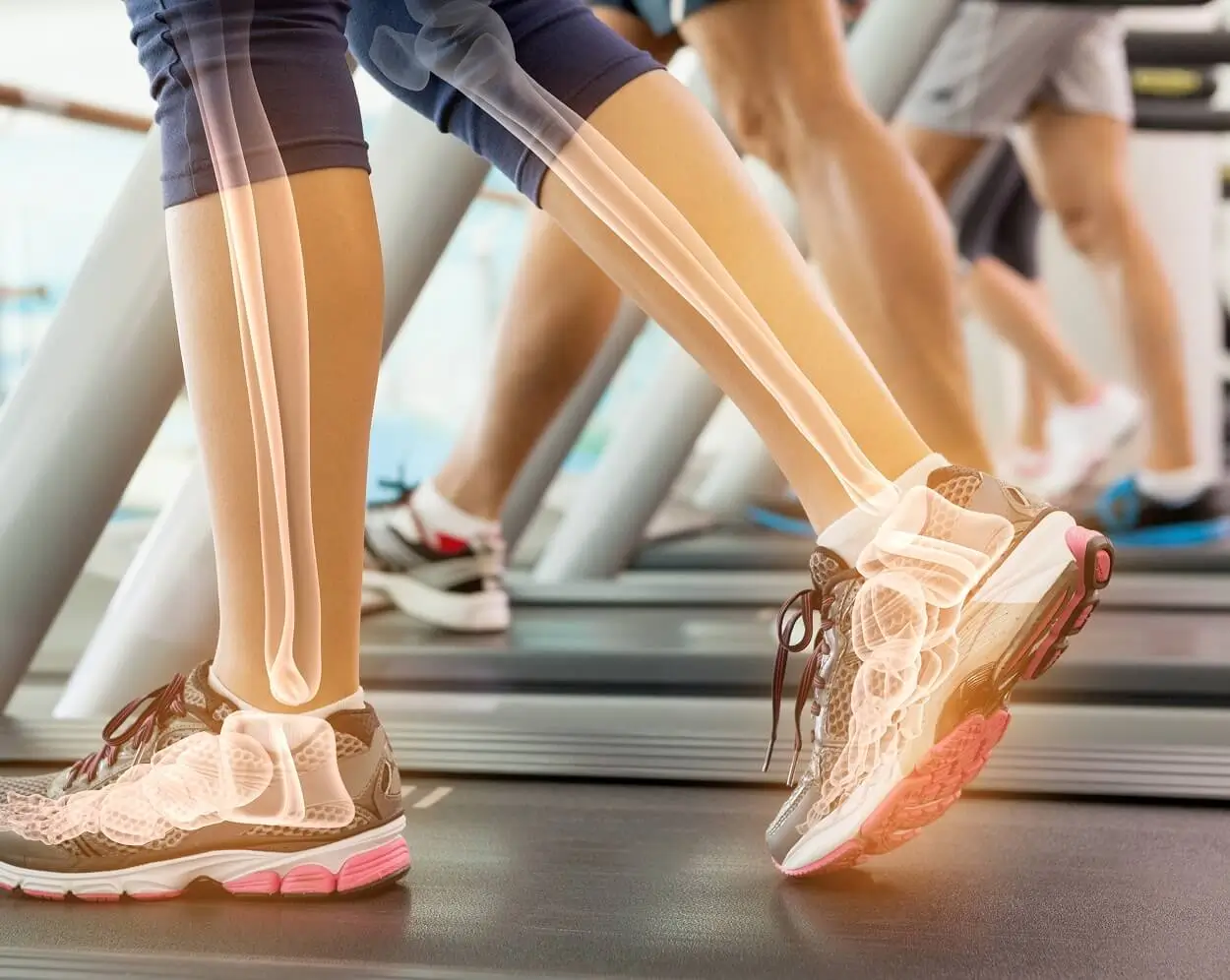 herbs for bone health