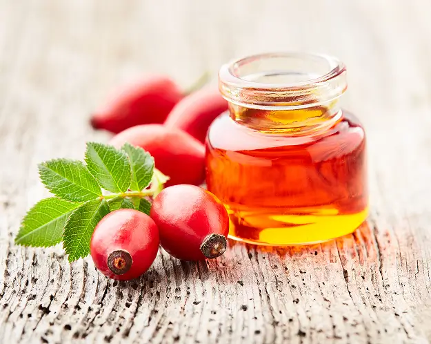 Rosehip tincture bottle, showcasing a natural herbal supplement for wellness