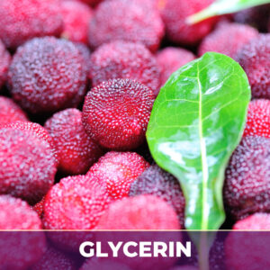 Bayberry in Glycerin