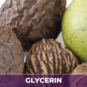 Black Walnut in Glycerin