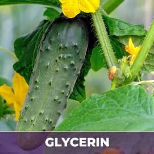 Cucumber in Glycerin