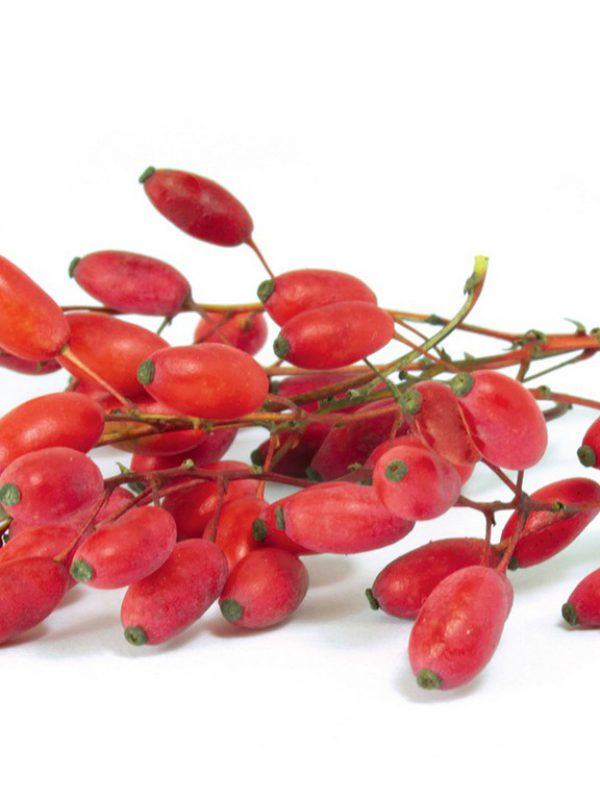 Berberis-Vulgaris.jpg