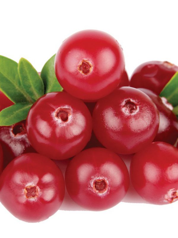Cranberries-3.jpg