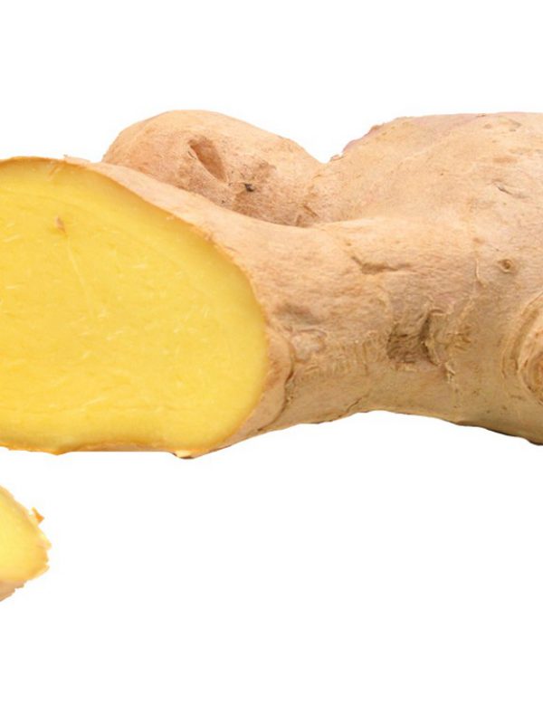 Ginger.jpg