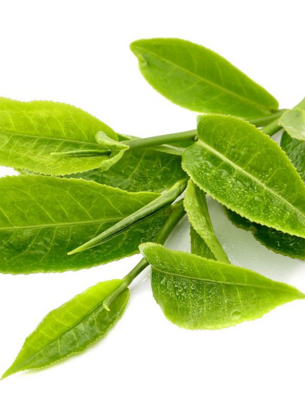 Green-Tea.jpg
