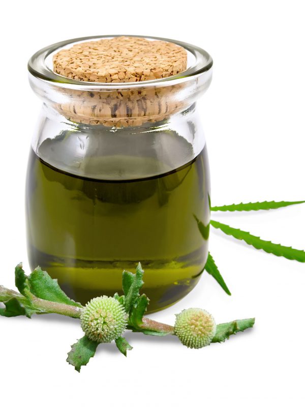 Hemp-Seed-Oil-and-Centipeda-scaled-2.jpg