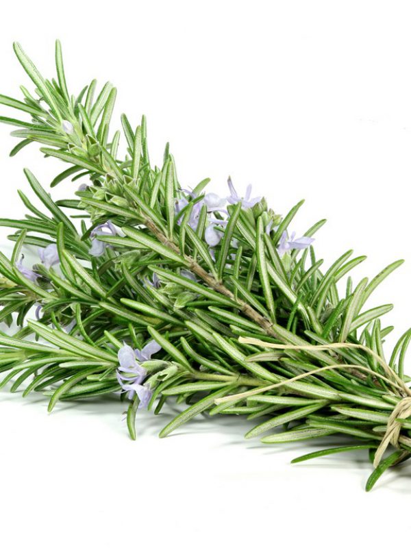 Rosemary Infused Oil - 3818A - Botanical Extracts Manufacturing ...