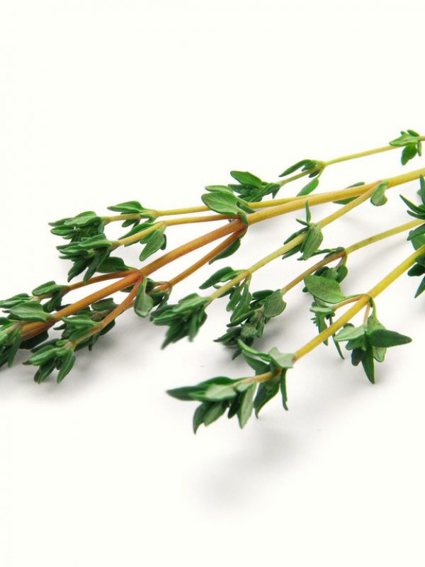 Thyme-Herb.jpg