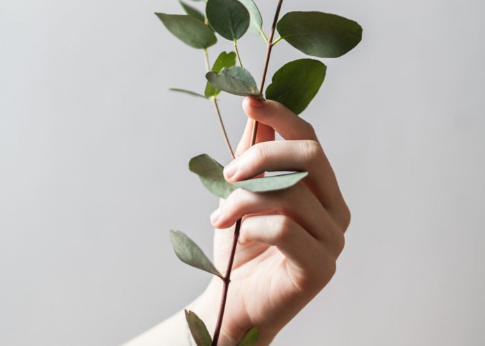 Expert Botanical Extracts Manufacturer | Expert Herbal Extracts Manufacturer