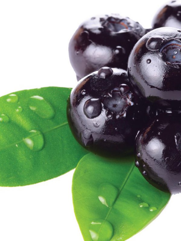 bilberry.jpg