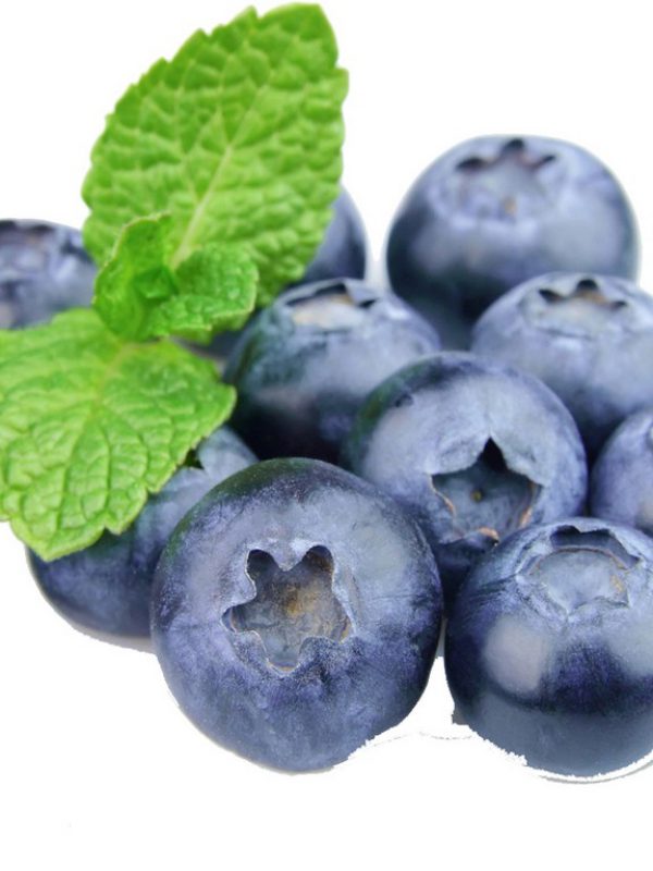 Organic Blueberry in Glycerin Botanical Extracts