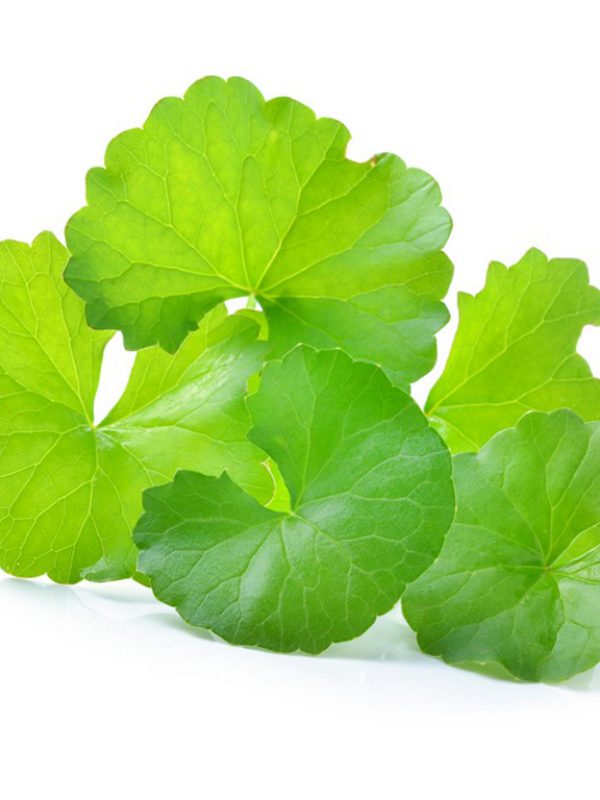 centella.jpg