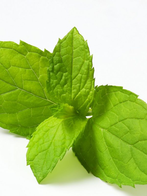 lemon-balm-1.jpg