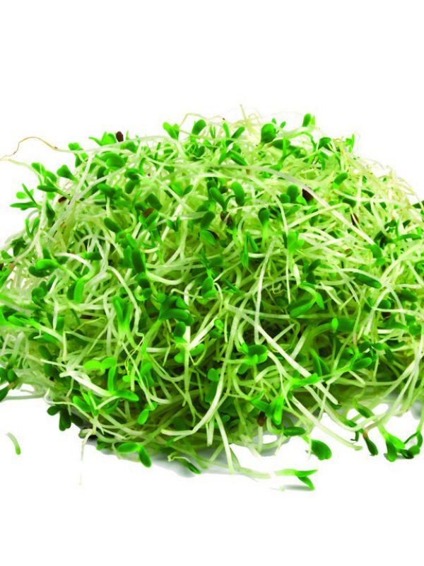product_Alfalfa.jpg