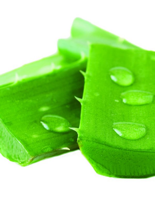 product_Aloe_Vera-1.jpg