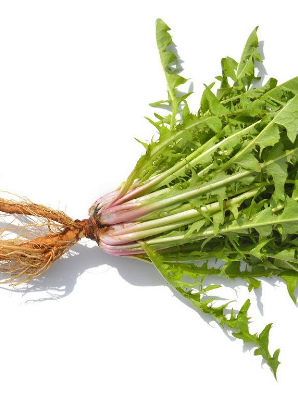 product_Dandelion-Root-1.jpg