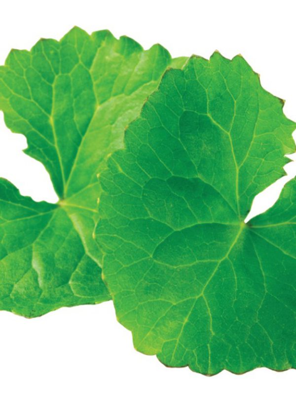 product_Gotu-Kola-1.jpg