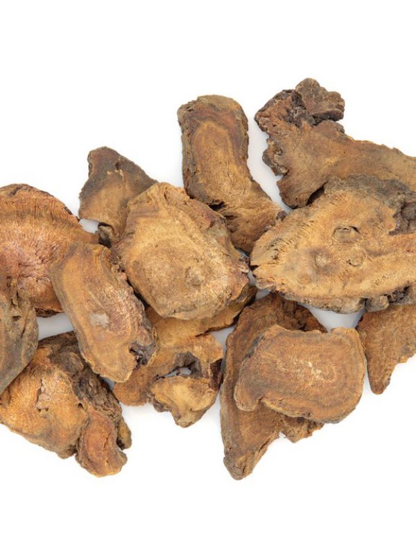 product_Rhubarb-Root-1.jpg