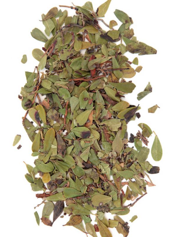 product_Uva-Ursi-Leaf-Bearberry-1.jpg