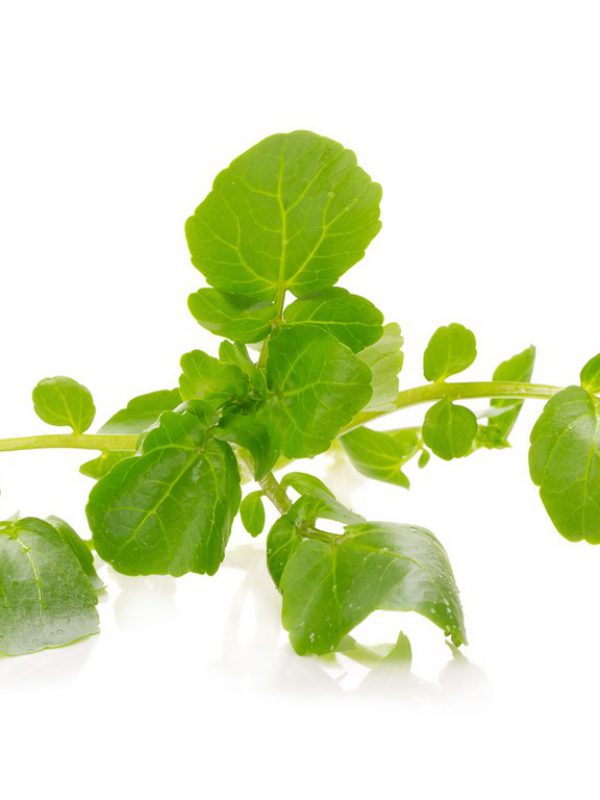 product_Watercress.jpg