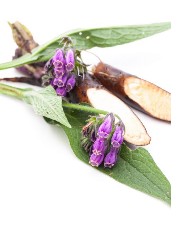 product_boneset-comfrey.jpg