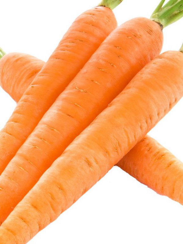 carrot-extract-daucus-carota-sativa-carrot-root-extract-bio-botanica