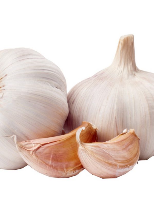 Garlic Bulb Allium Sativum (Garlic) Bulb Extract BioBotanica