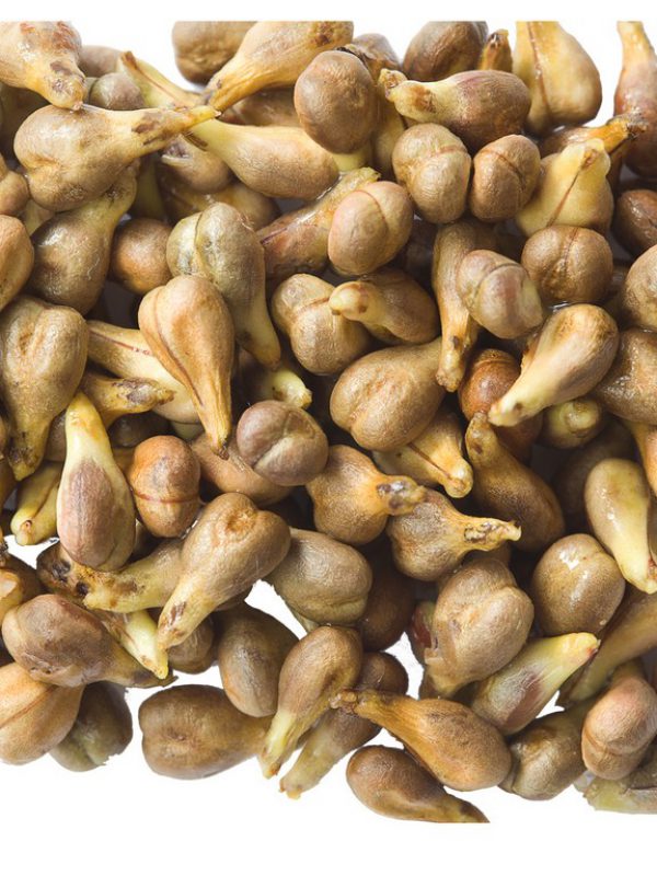 product_grapeseed.jpg