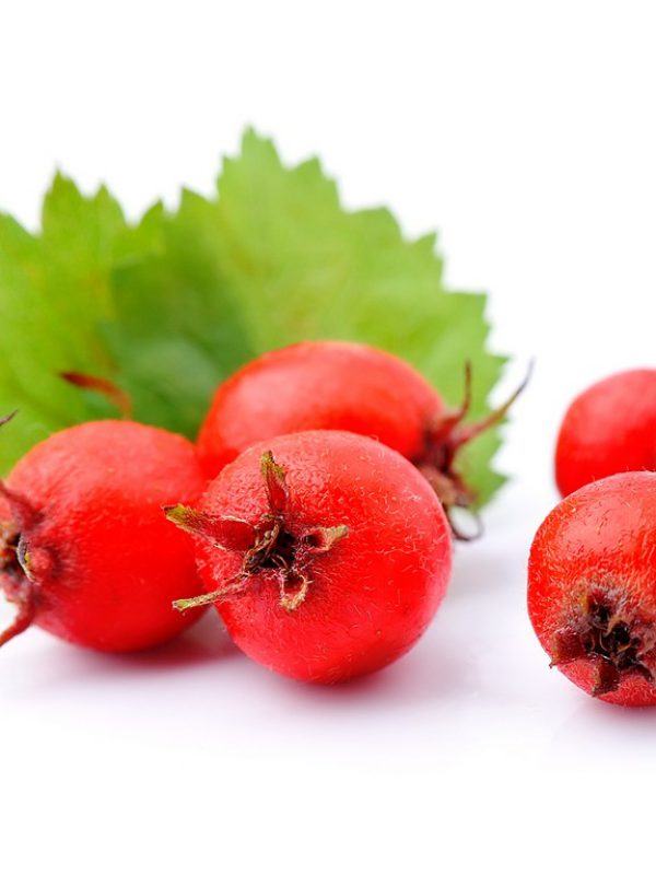 product_hawthorne-berry-1.jpg