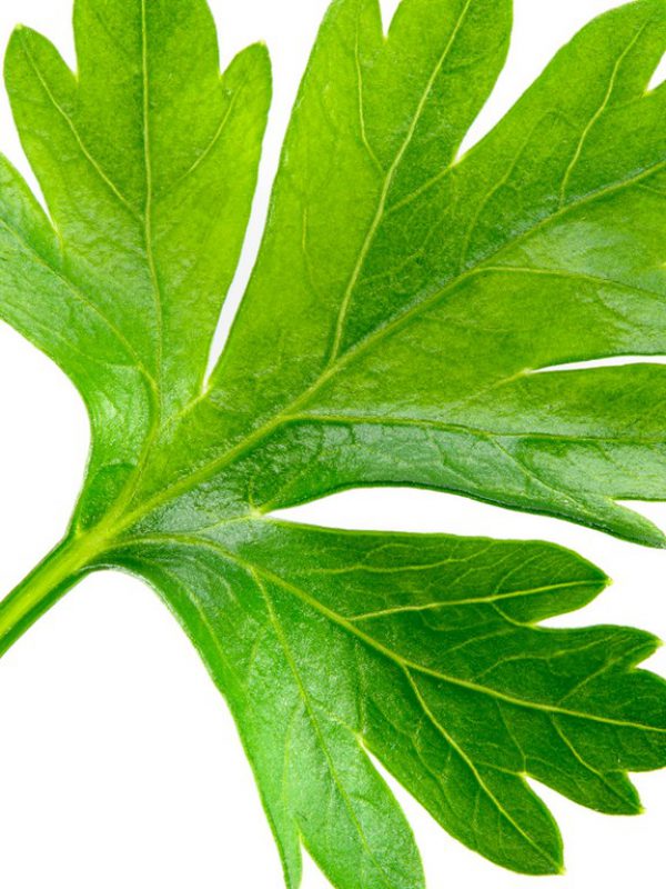 product_parsley-leaf.jpg