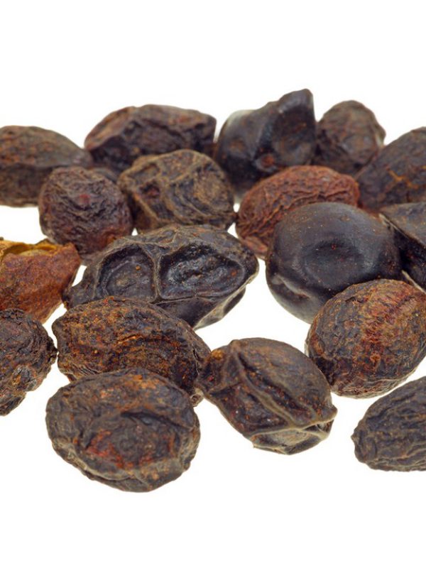 product_saw-palmetto.jpg